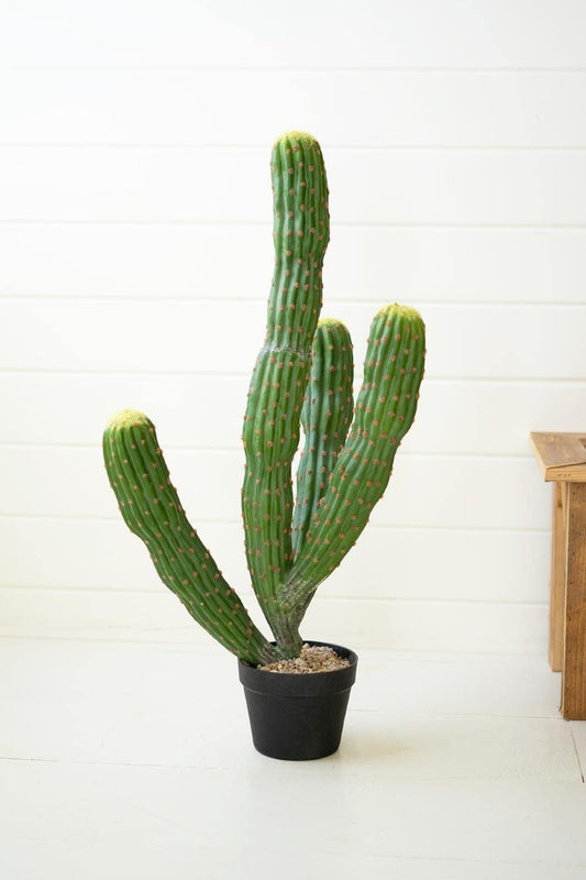 Artificial Cactus With 4 Stems