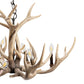 Crestview Huxley Antler Chandelier