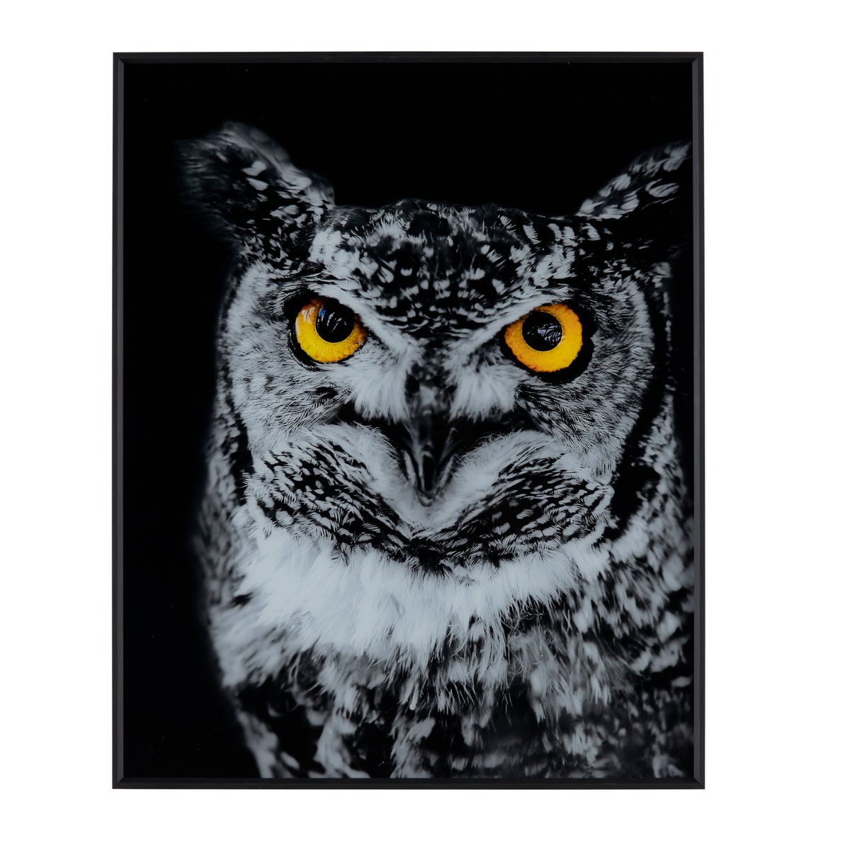 Crestview Hoot Wall Art