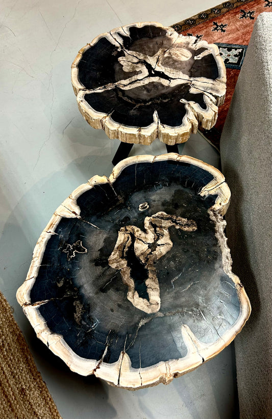 2 Piece Petrified Wood Accent Tables