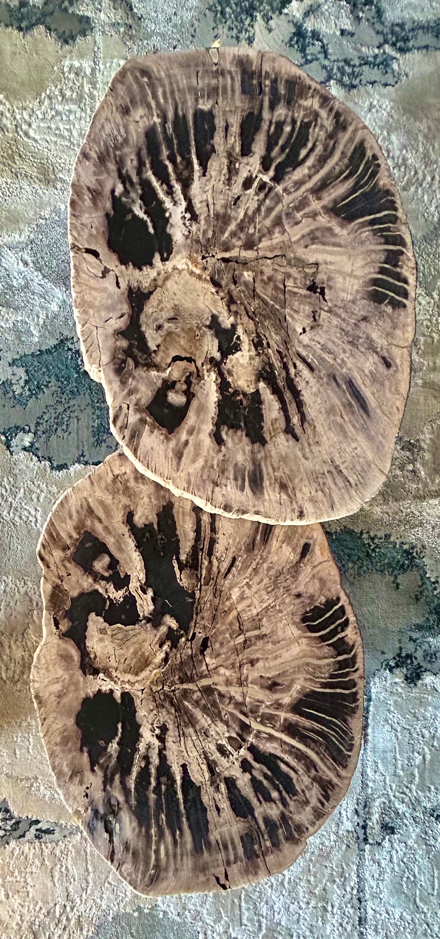 2 Piece Petrified Wood Nesting Table