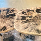 2 Piece Petrified Wood Nesting Table