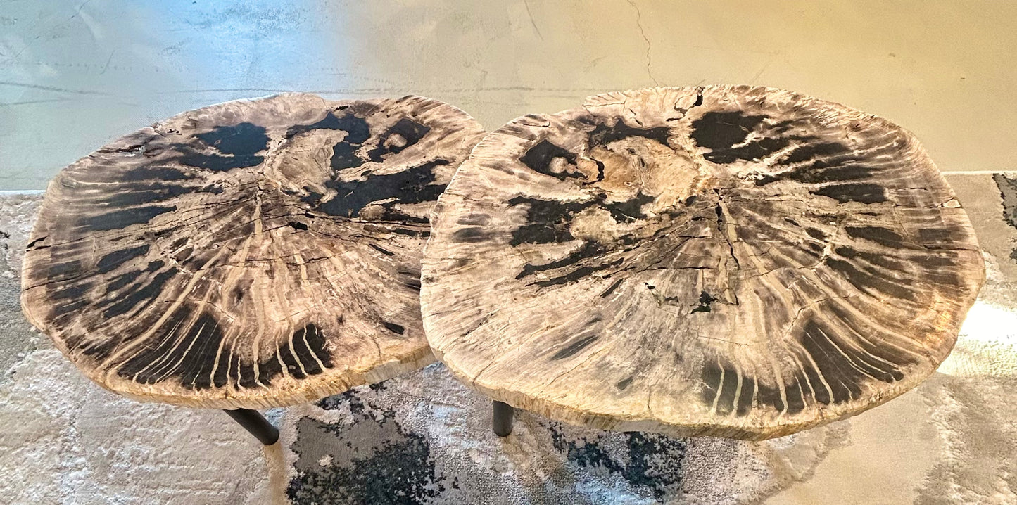 2 Piece Petrified Wood Nesting Table