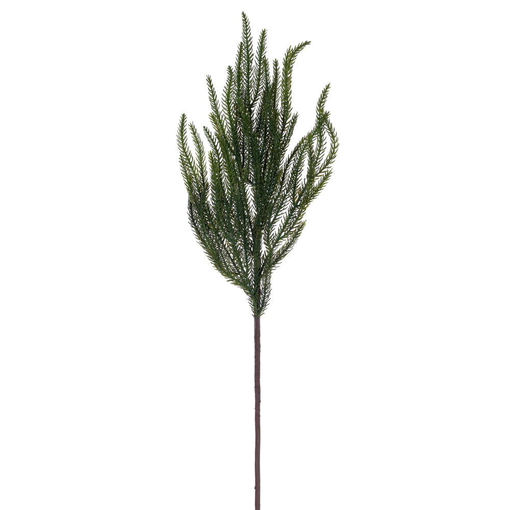 24.5" Green Norfolk Pine Spray