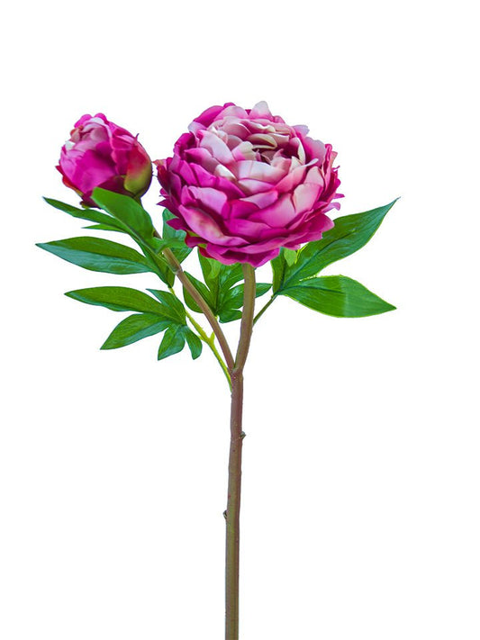 26" Fuchsia Peony