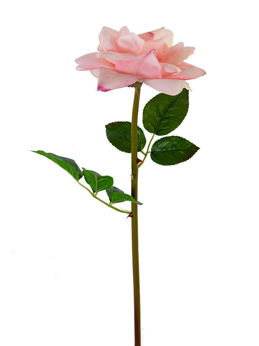 26" Open Rose Stem