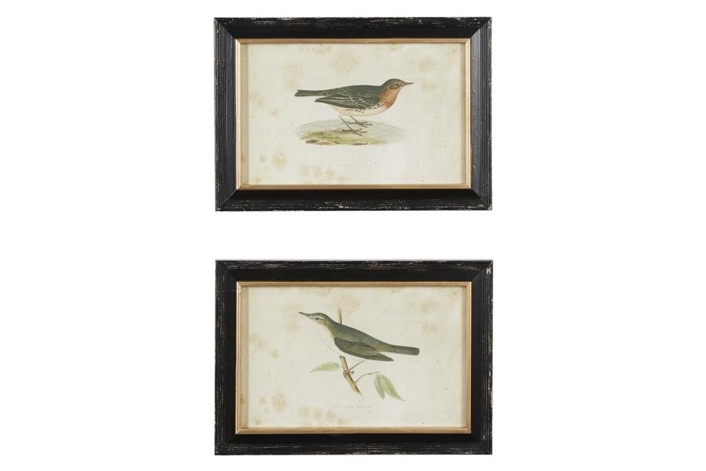 Bird Framed Wall Art Set Of 2