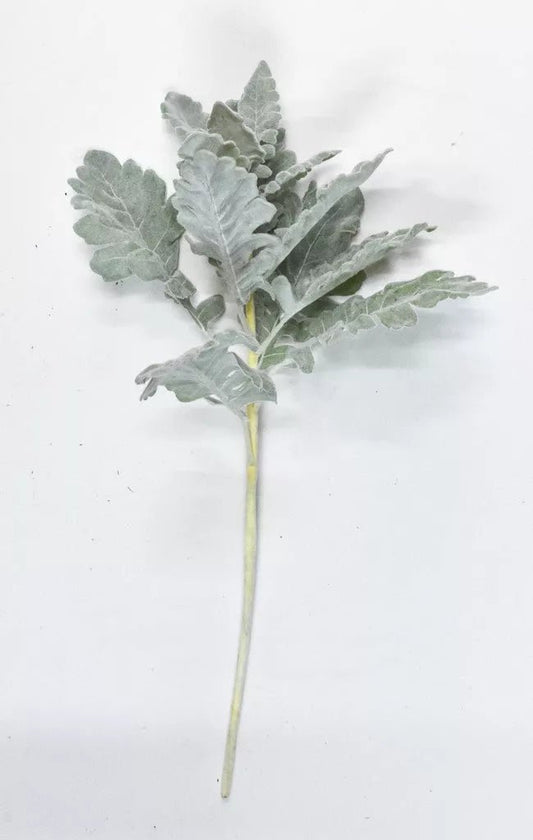 Dusty Miller 17" Spray