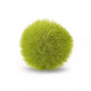 Moss Balls