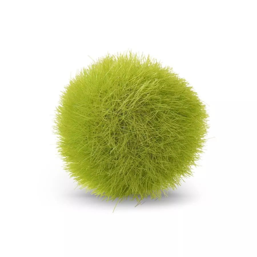 Moss Balls